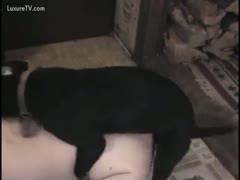 An animal is fucking a pale brunette milf at home.